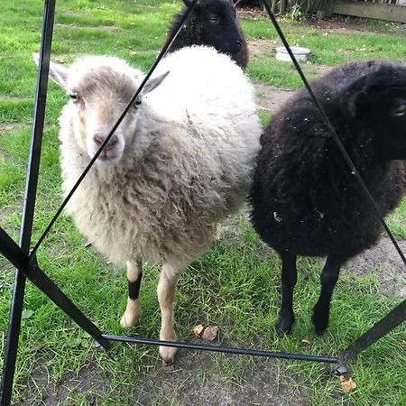 Appartement Elbe Weser *