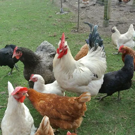 Apartment Elbe Weser