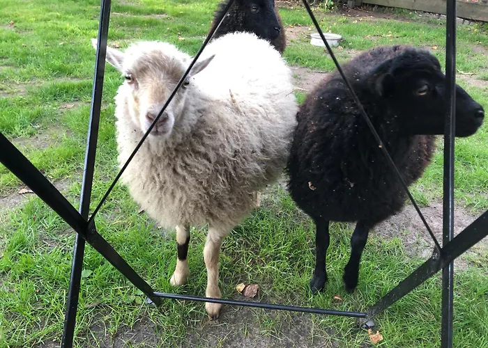 Apartment Elbe Weser *