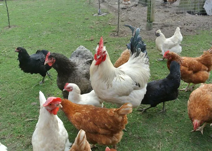 Apartment Elbe Weser